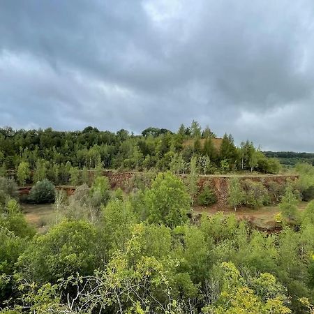 דירות דיפרדאנג' Studio Situe Aux Abords De La Foret Avec Parking מראה חיצוני תמונה